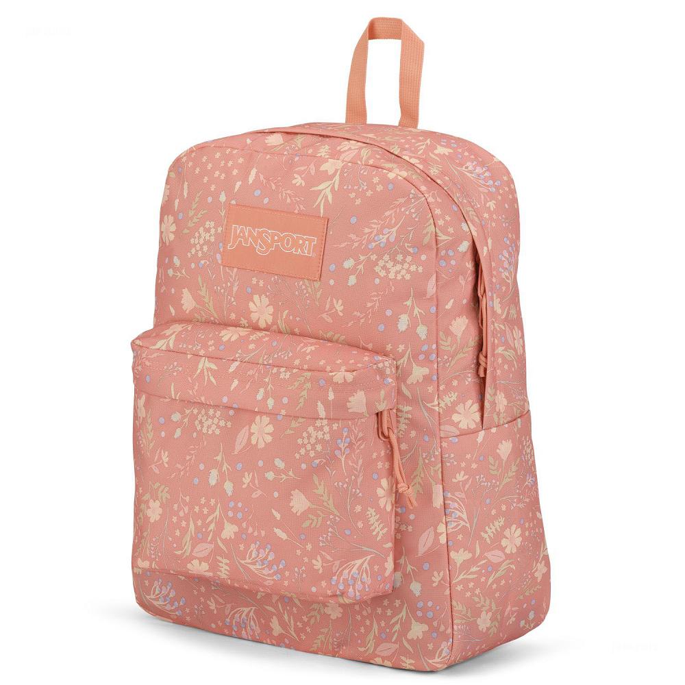 Rose JanSport SuperBreak® Plus School Backpacks | MY_JS175
