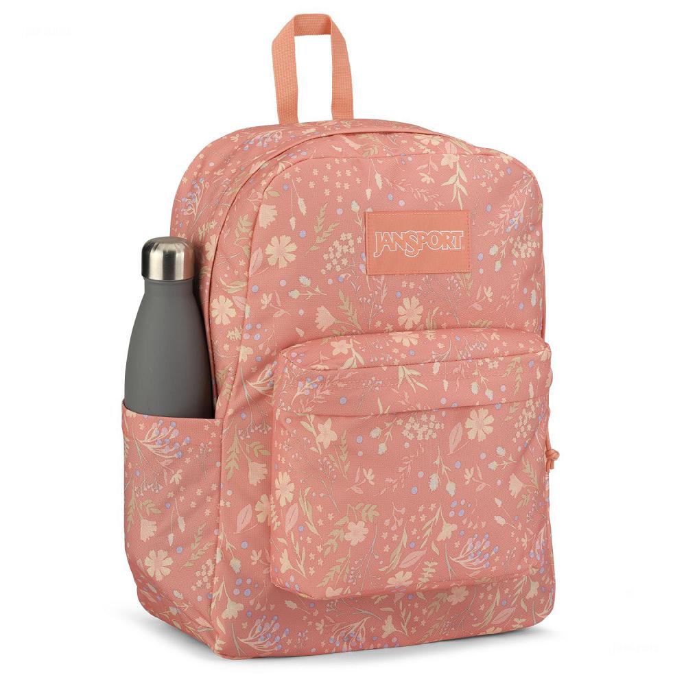 Rose JanSport SuperBreak® Plus School Backpacks | MY_JS175