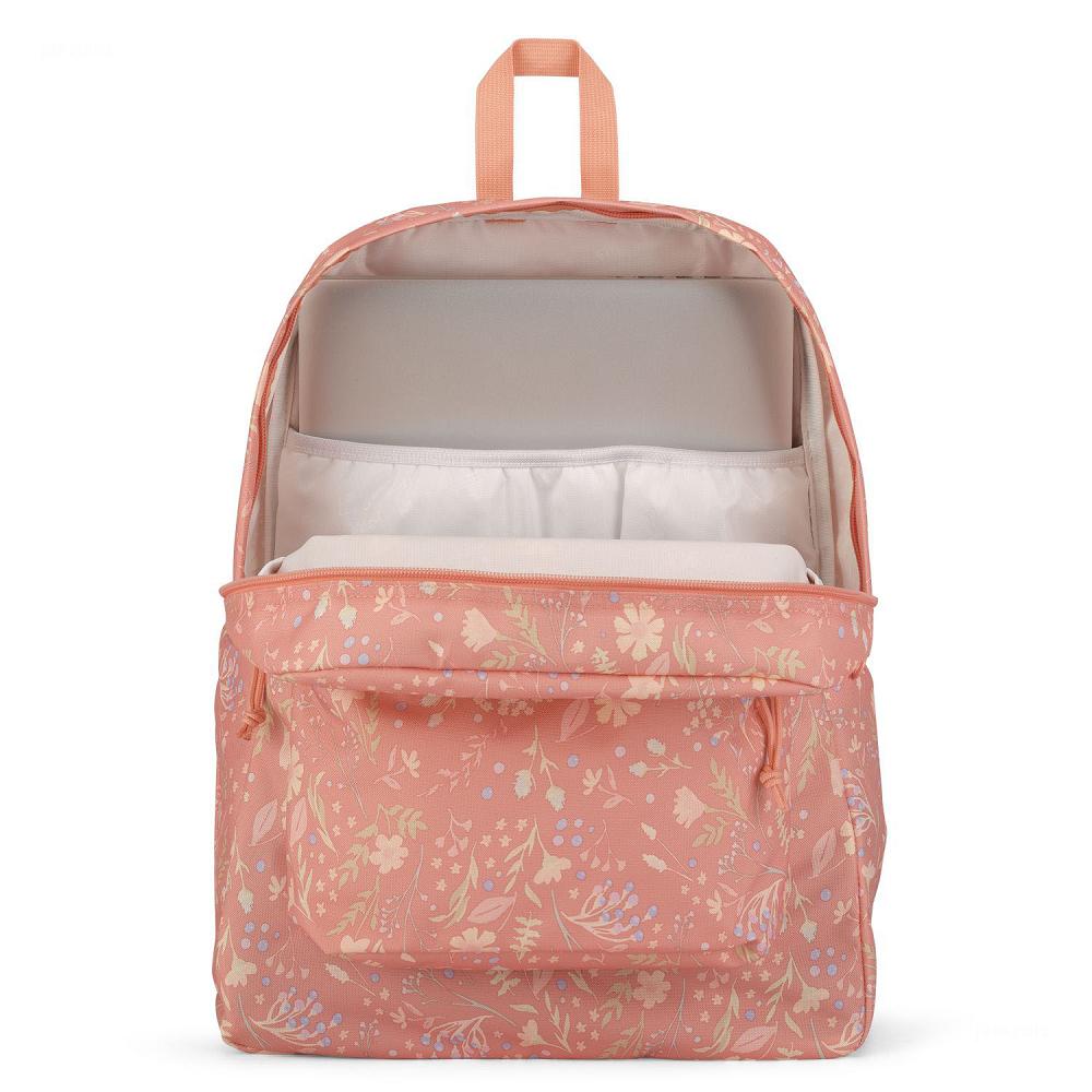 Rose JanSport SuperBreak® Plus School Backpacks | MY_JS175