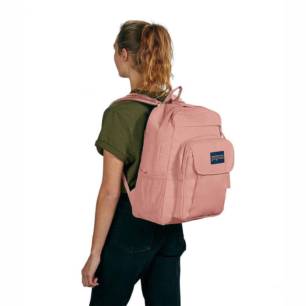 Rose JanSport UNION PACK Laptop Backpacks | MY_JS338