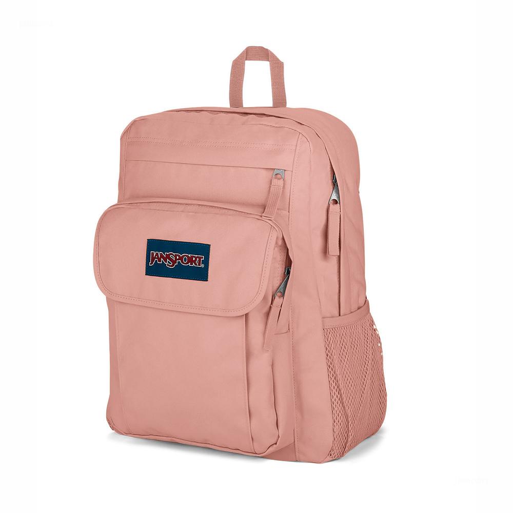 Rose JanSport UNION PACK Laptop Backpacks | MY_JS338
