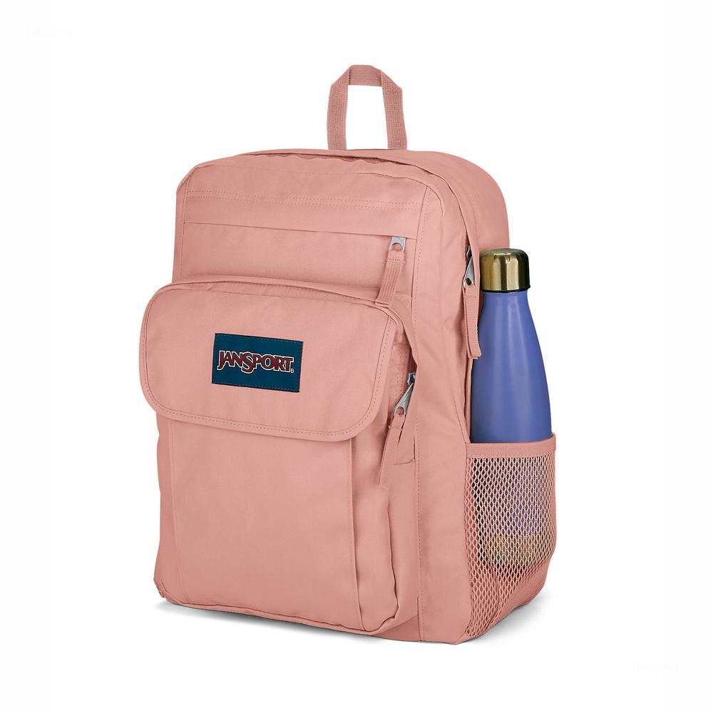Rose JanSport UNION PACK Laptop Backpacks | MY_JS338