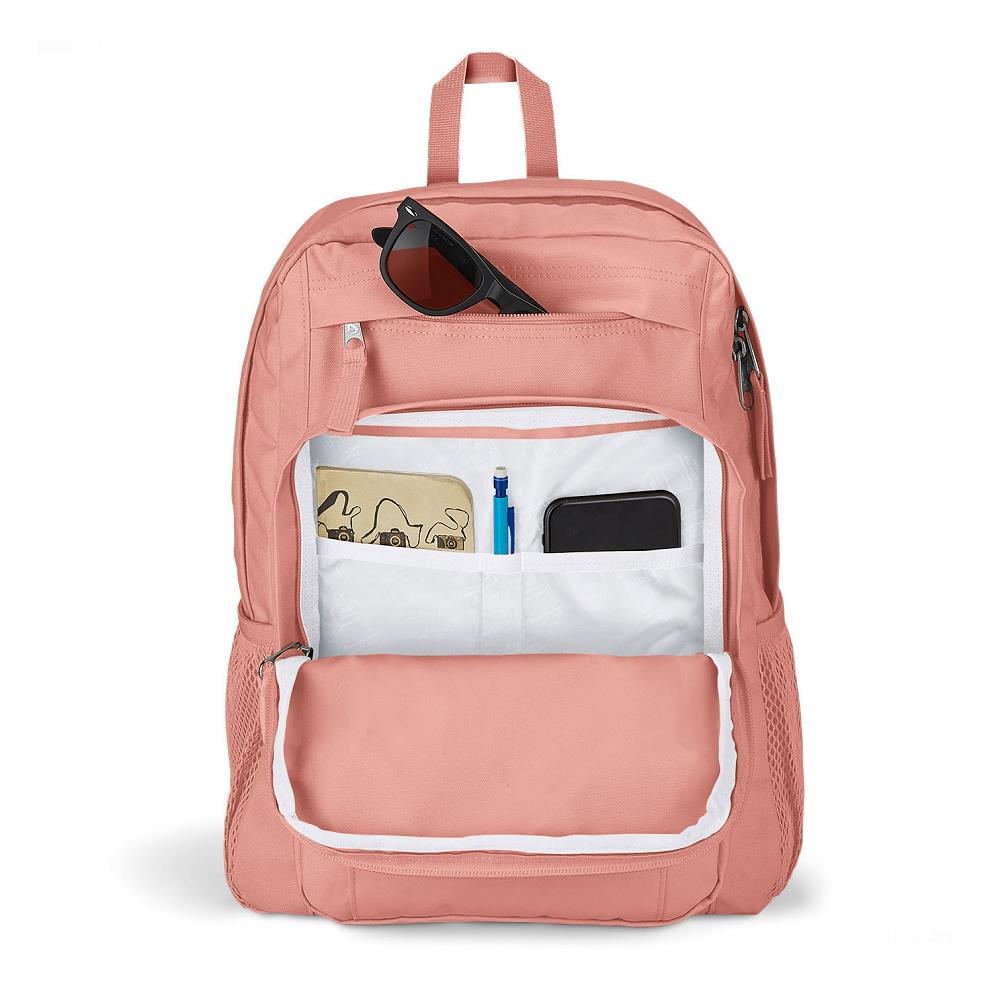 Rose JanSport UNION PACK Laptop Backpacks | MY_JS338