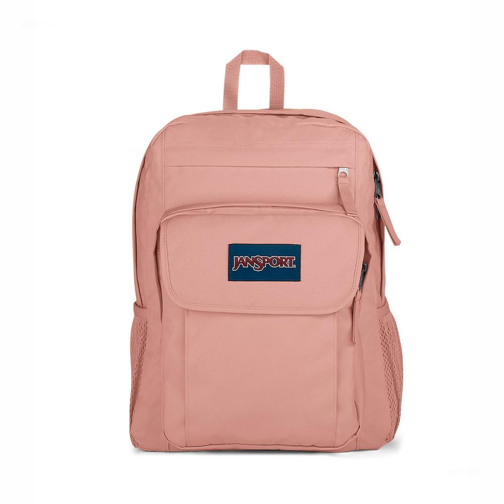 Rose JanSport UNION PACK Laptop Backpacks | MY_JS338