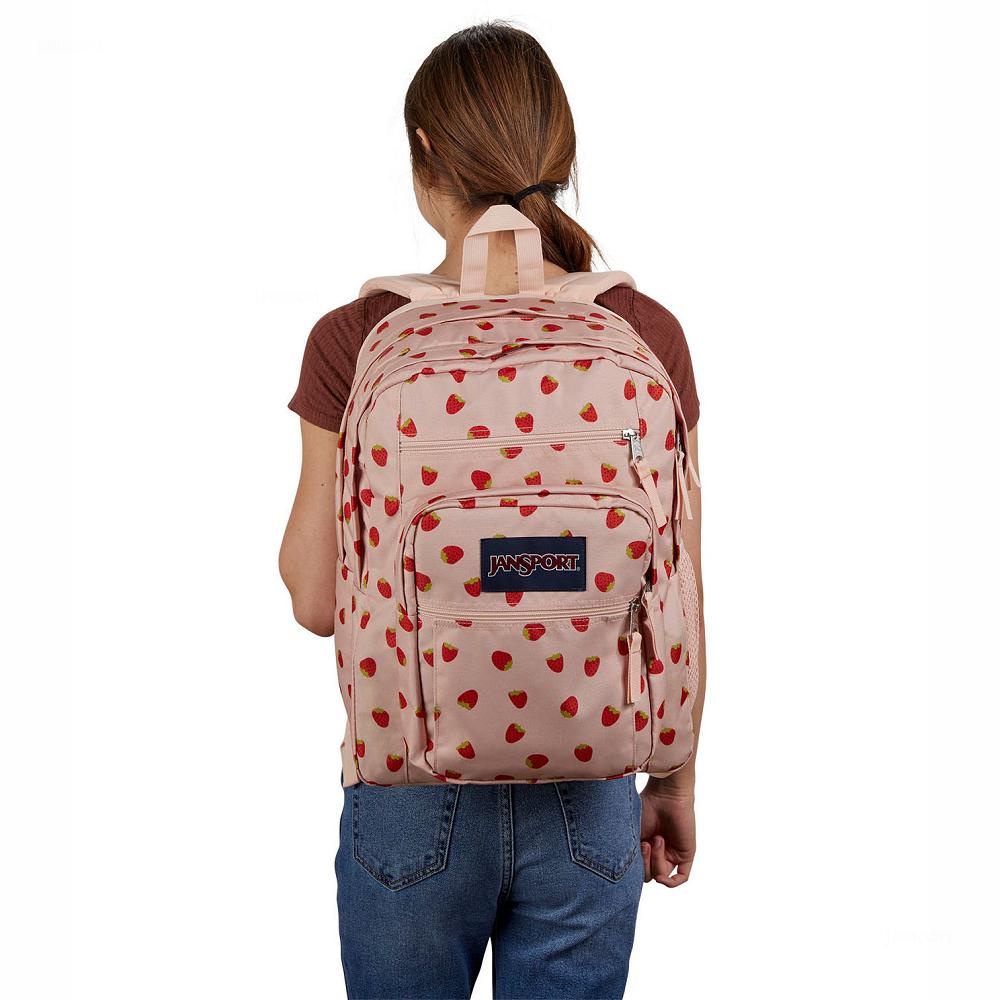 Rose / Red JanSport BIG STUDENT Laptop Backpacks | MY_JS284