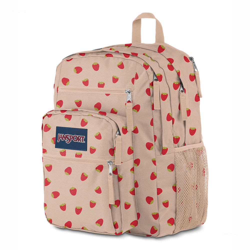 Rose / Red JanSport BIG STUDENT Laptop Backpacks | MY_JS284