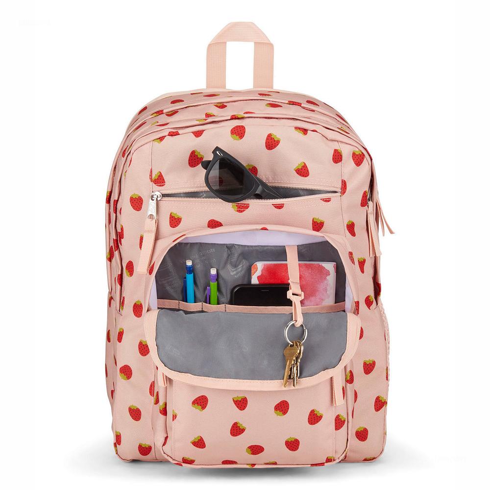 Rose / Red JanSport BIG STUDENT Laptop Backpacks | MY_JS284