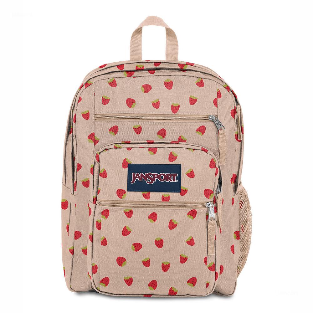 Rose / Red JanSport BIG STUDENT Laptop Backpacks | MY_JS284